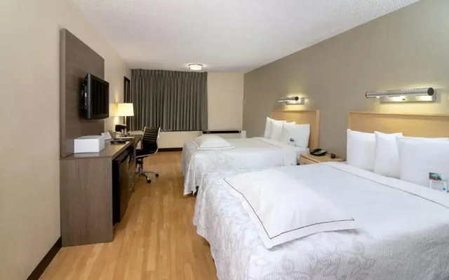 Premium Quadruple room