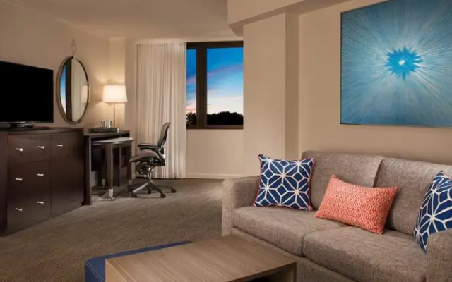 Junior Suite