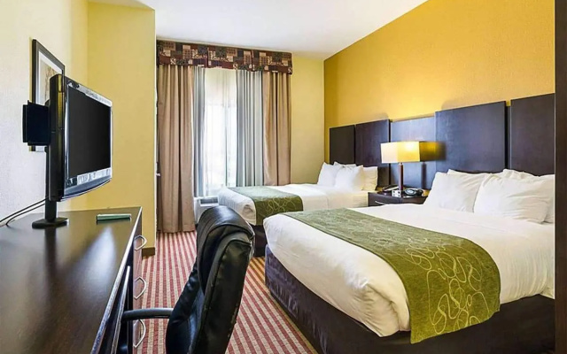 Quadruple Studio Suite