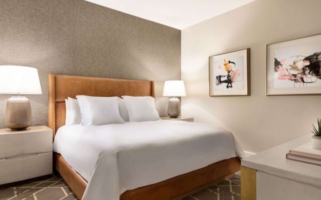 Cholla Suite