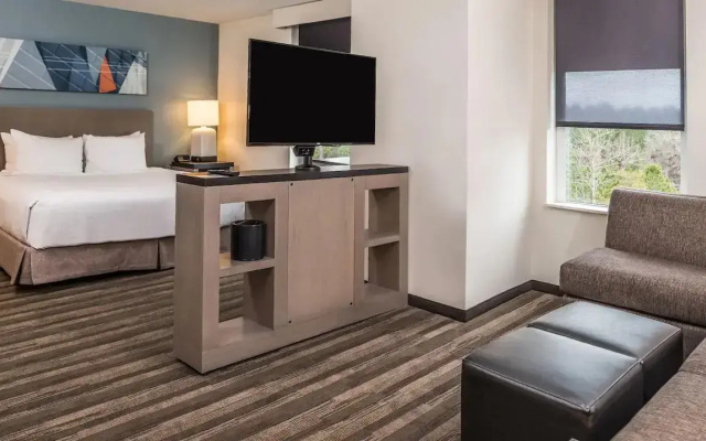 Accessible Double Kitchen Studio Suite