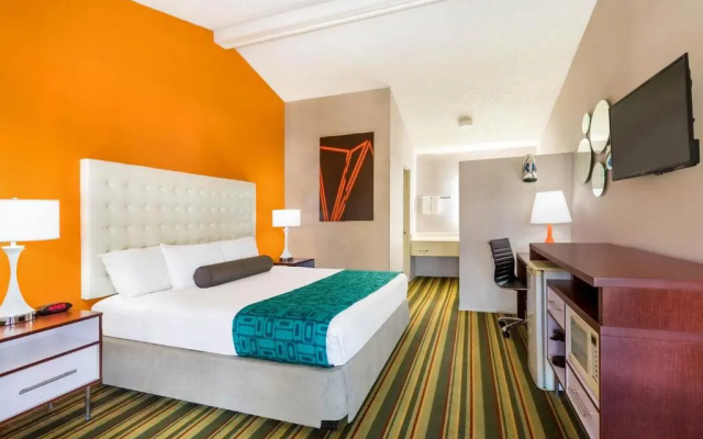 Disability Access Double room