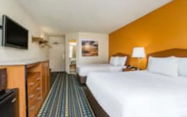 Pet Friendly Quadruple room