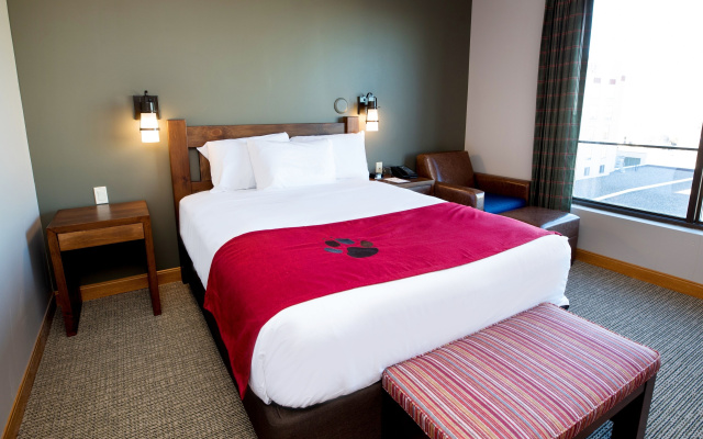 Cabin Double Suite