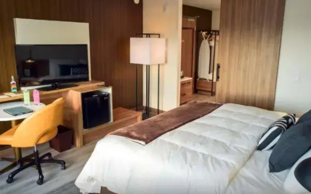 Double Suite