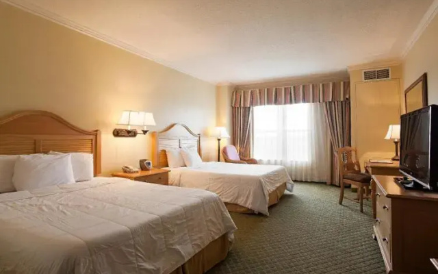 Quadruple room