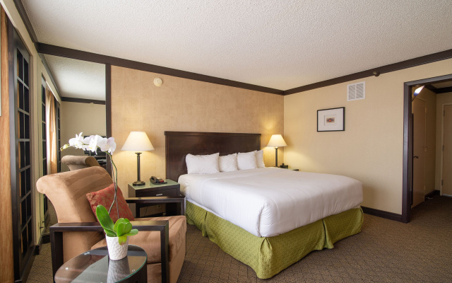Executive Double room