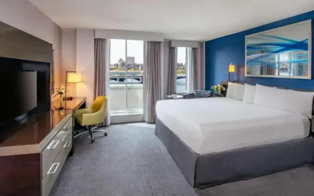 Executive Double Studio Suite
