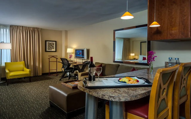 Apartment Style Full Kitchen Double Studio Suite