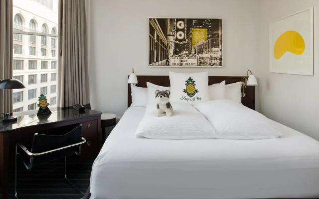 Reliance Double Suite