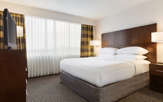 1 Bedroom Accessible Suite