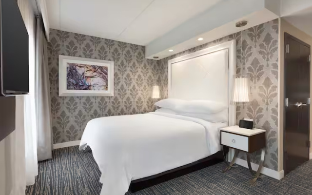 Double Studio Suite