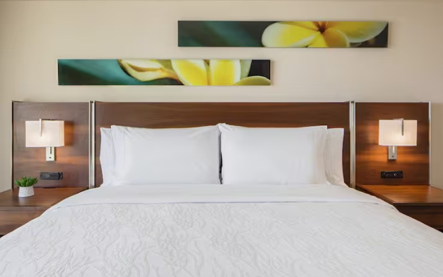 1 Bedroom Double Suite with city view