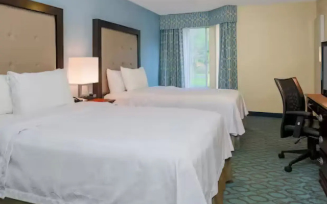 1 Bedroom Premium Suite