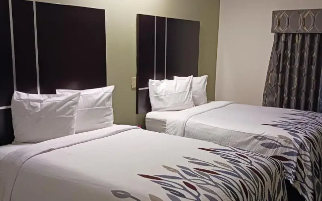 Superior Quadruple (2 Full Beds) room