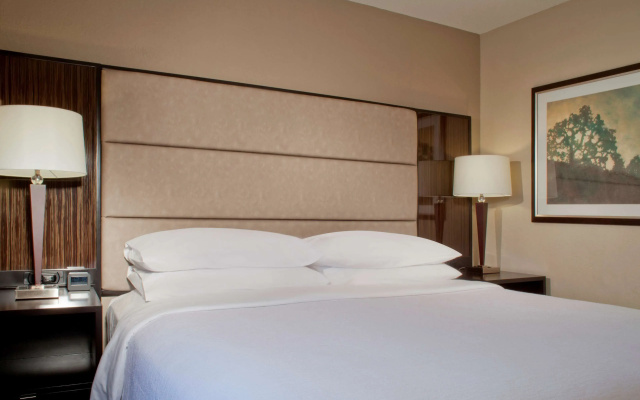 Premium Double Accessible Suite