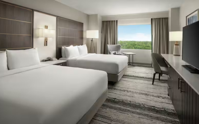 Signia Quadruple Suite