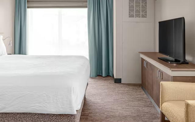 Junior Suite with Sofa Bed