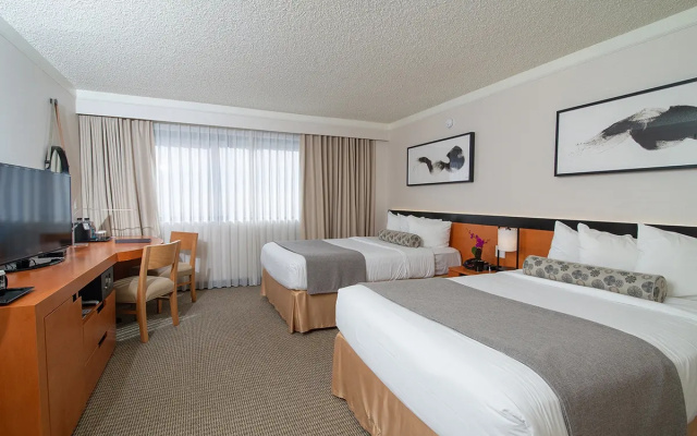 Accessible Quadruple room