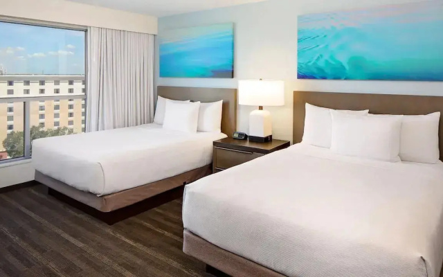 1 Bedroom Specialty Kitchen Accessible Suite