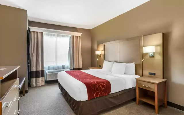 1 Bedroom Suite