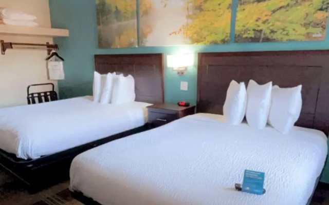 Pet Friendly Quadruple room