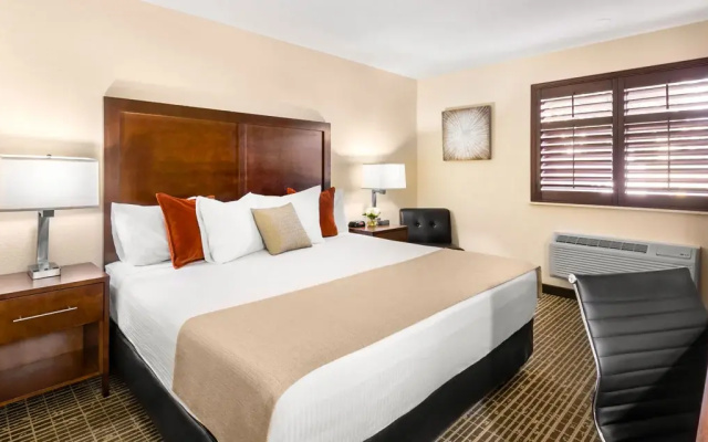 Handicapped Double room