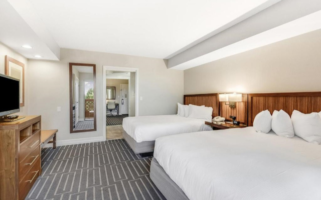 1 Bedroom Standard Suite