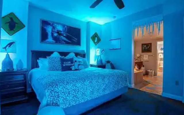 1 Bedroom SeaWorld Double Suite
