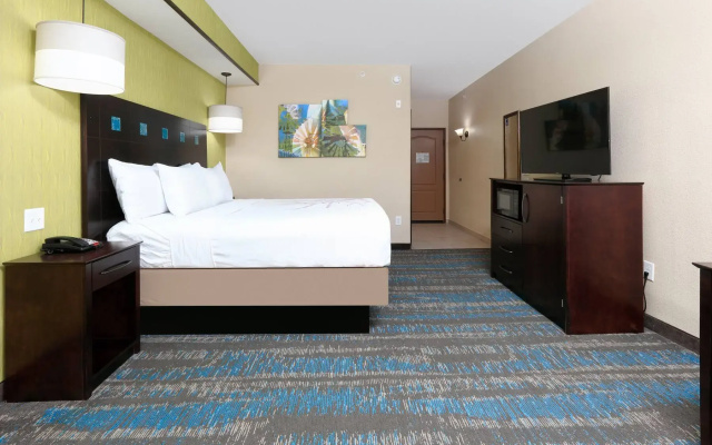 Mobility/Hearing Accessible Roll-In Shower Double room