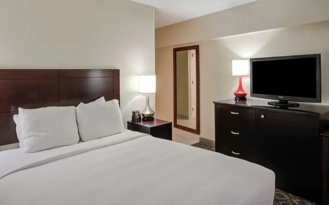1 Bedroom Double Suite