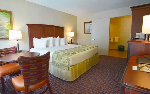 ADA Accessible Roll In Shower Double room