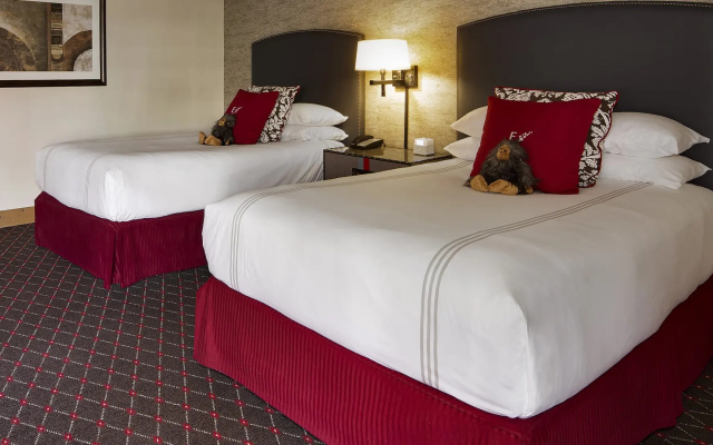 Twin Suite with city view