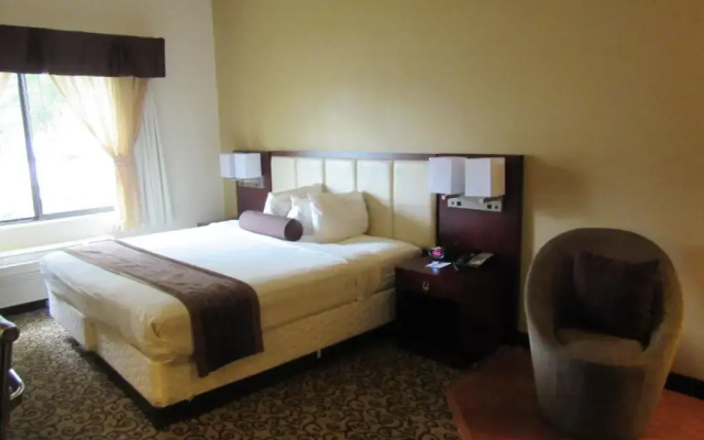 Studio Suite