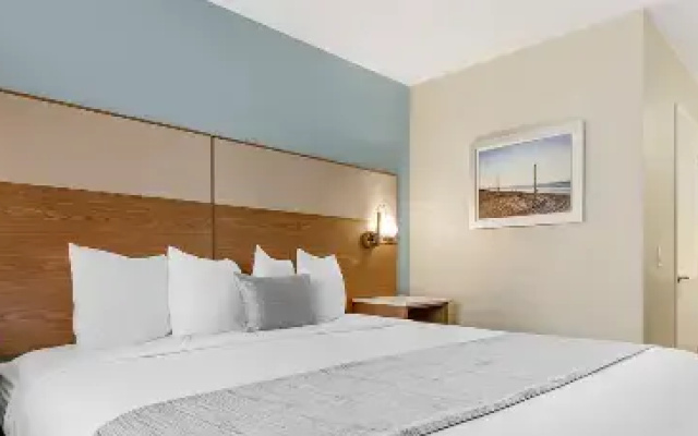 Pet Friendly Double Suite