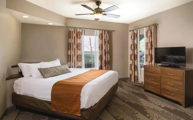 1 Bedroom Suite