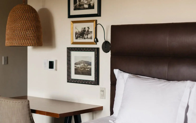 Vineyard Oak Suite