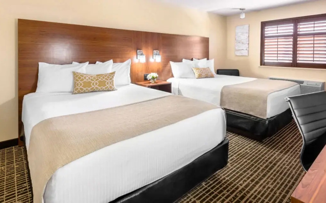 Quadruple Suite
