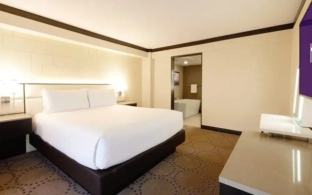 Executive Mountain Double Suite