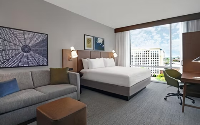 Double Studio Suite with city view