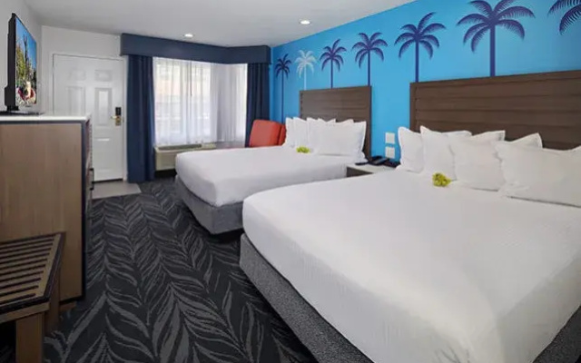 2 Bedrooms Quadruple Suite