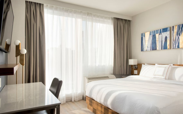 Executive Suite