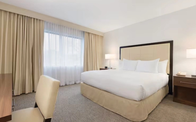 1 Bedroom Accessible Suite