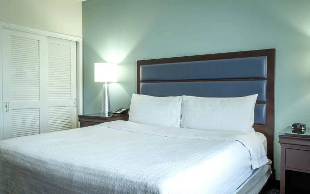 1 Bedroom Double Suite