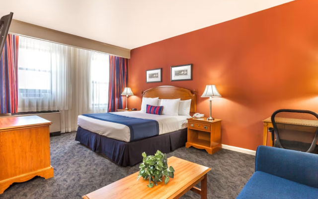 1 Bedroom Suite