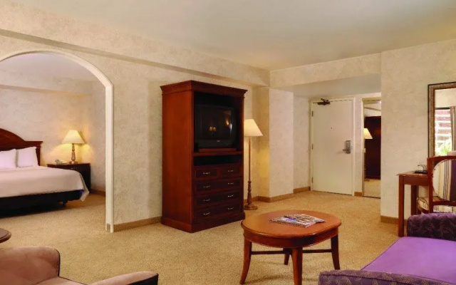 Pet Stay Double Studio