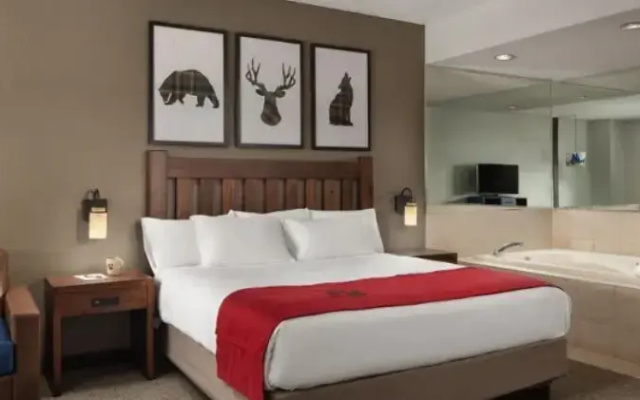 Whirlpool Fireplace Double Suite