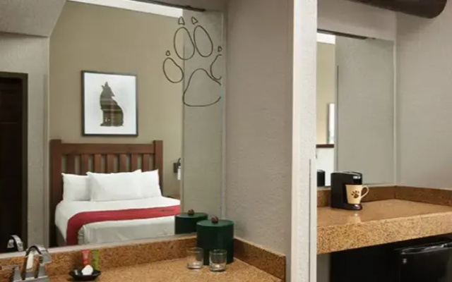 Double Suite