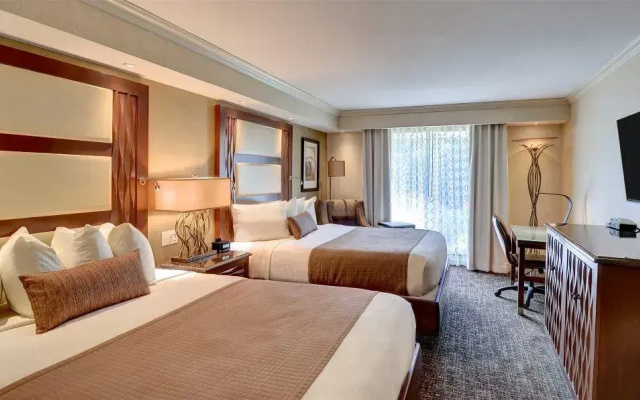 Regency Terrace Quadruple room