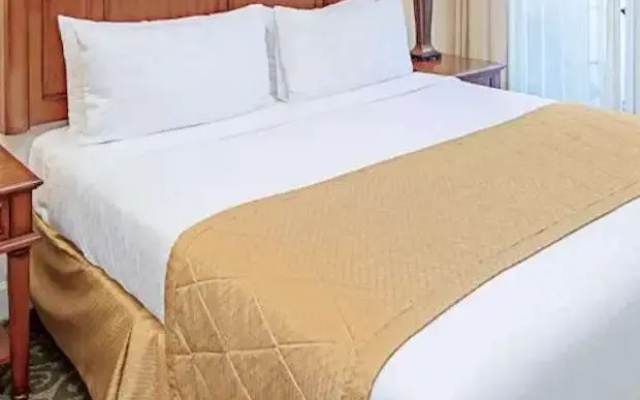 1 Bedroom Suite